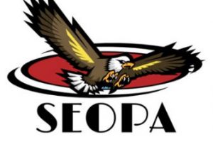 Curso SEO PARA AFILIADOS